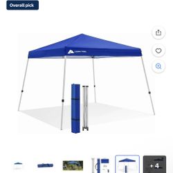 10 x 10 Slant Leg Canopy 