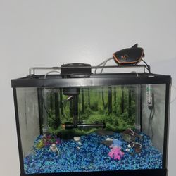 SE VENDE PECERA de 40 Galones Con Filtro Incluido 40 gallon fish tank for sale with filter included