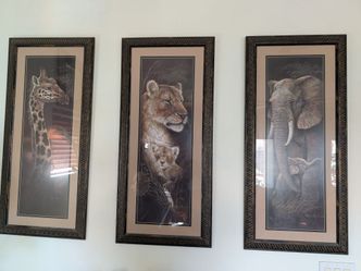 Framed pictures