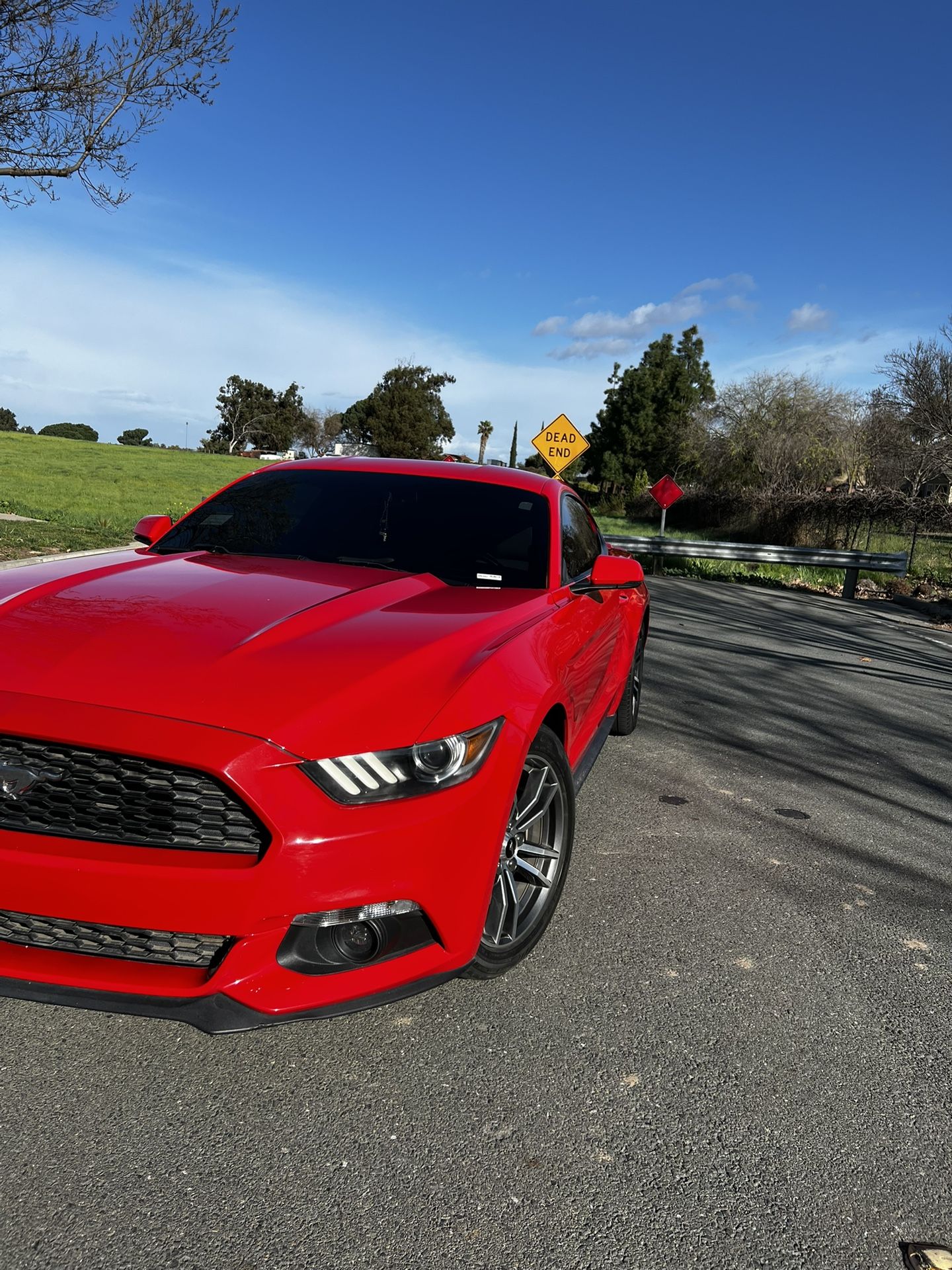 2015 Ford Mustang