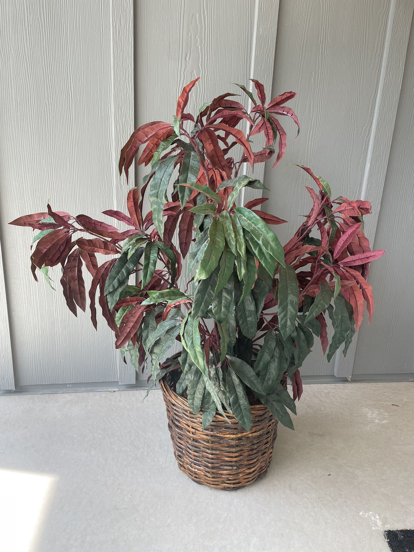 Faux Plant