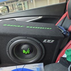 12" Inch Deaf Bounce Subwoofer With Built In Amplifier