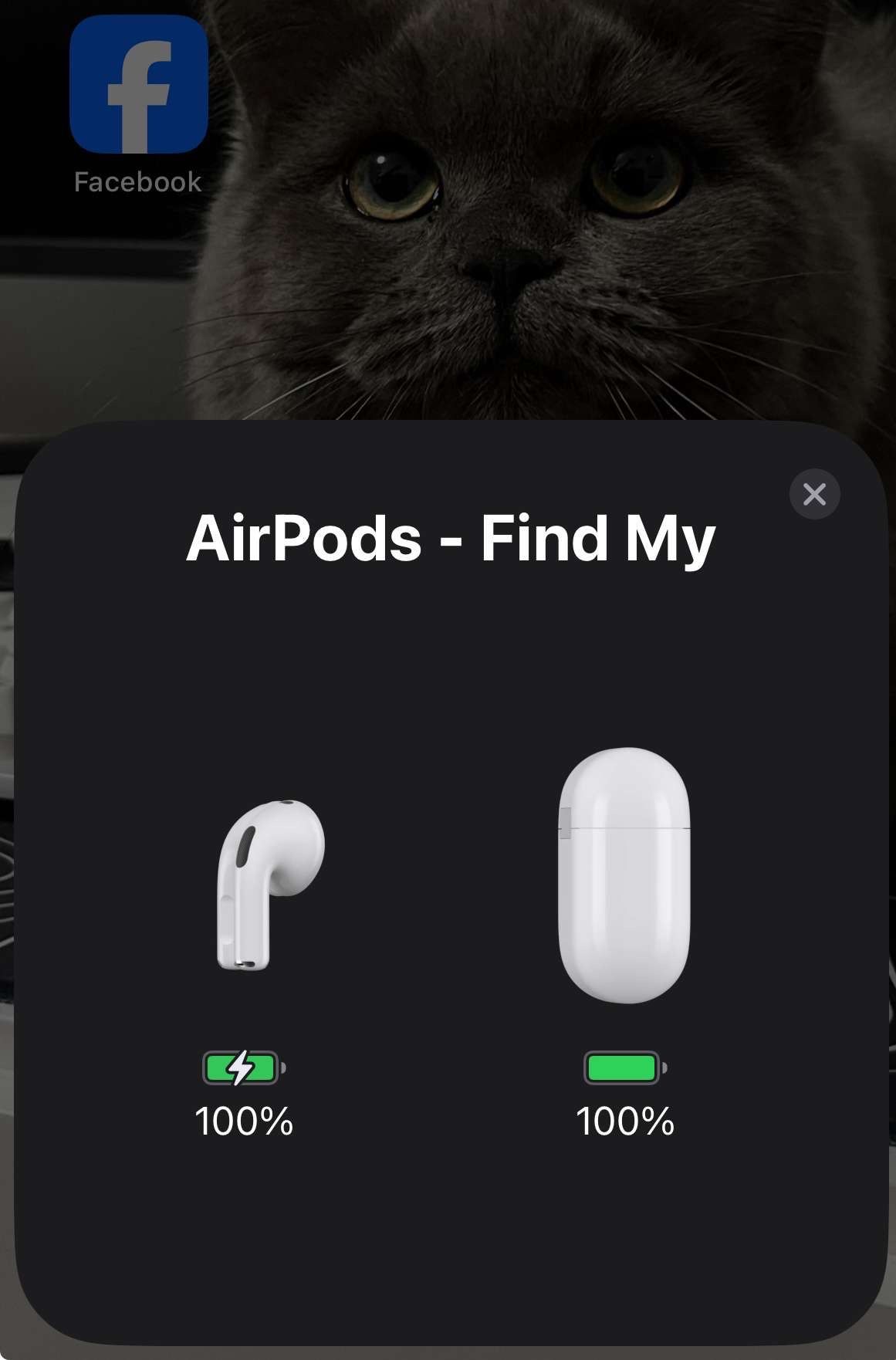 AirPod 3 Pro Max