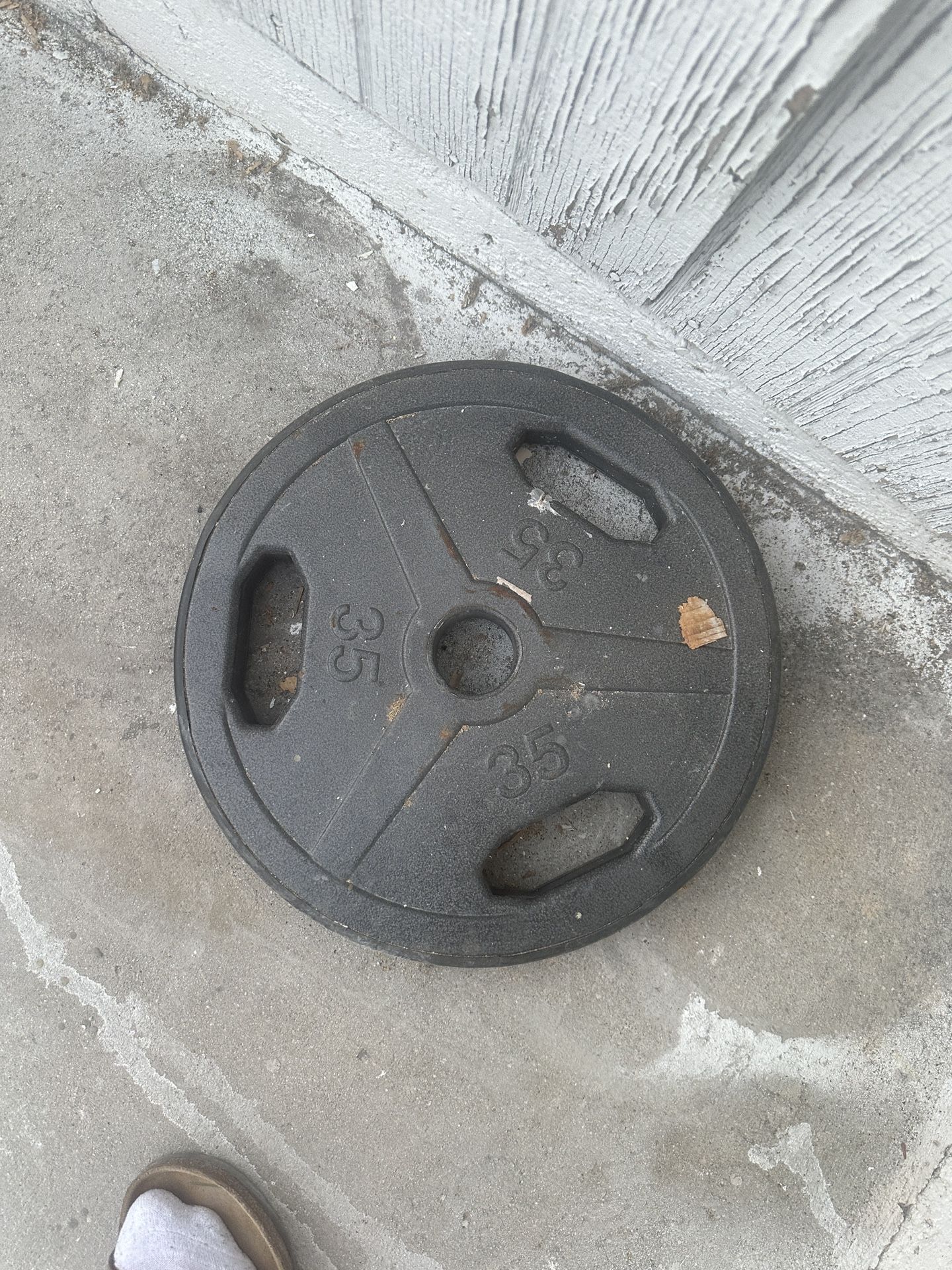 35 Pound Plate 