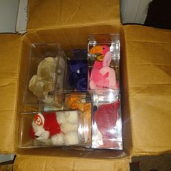 Beanie Baby Collection 