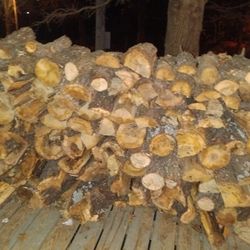 Firewood 