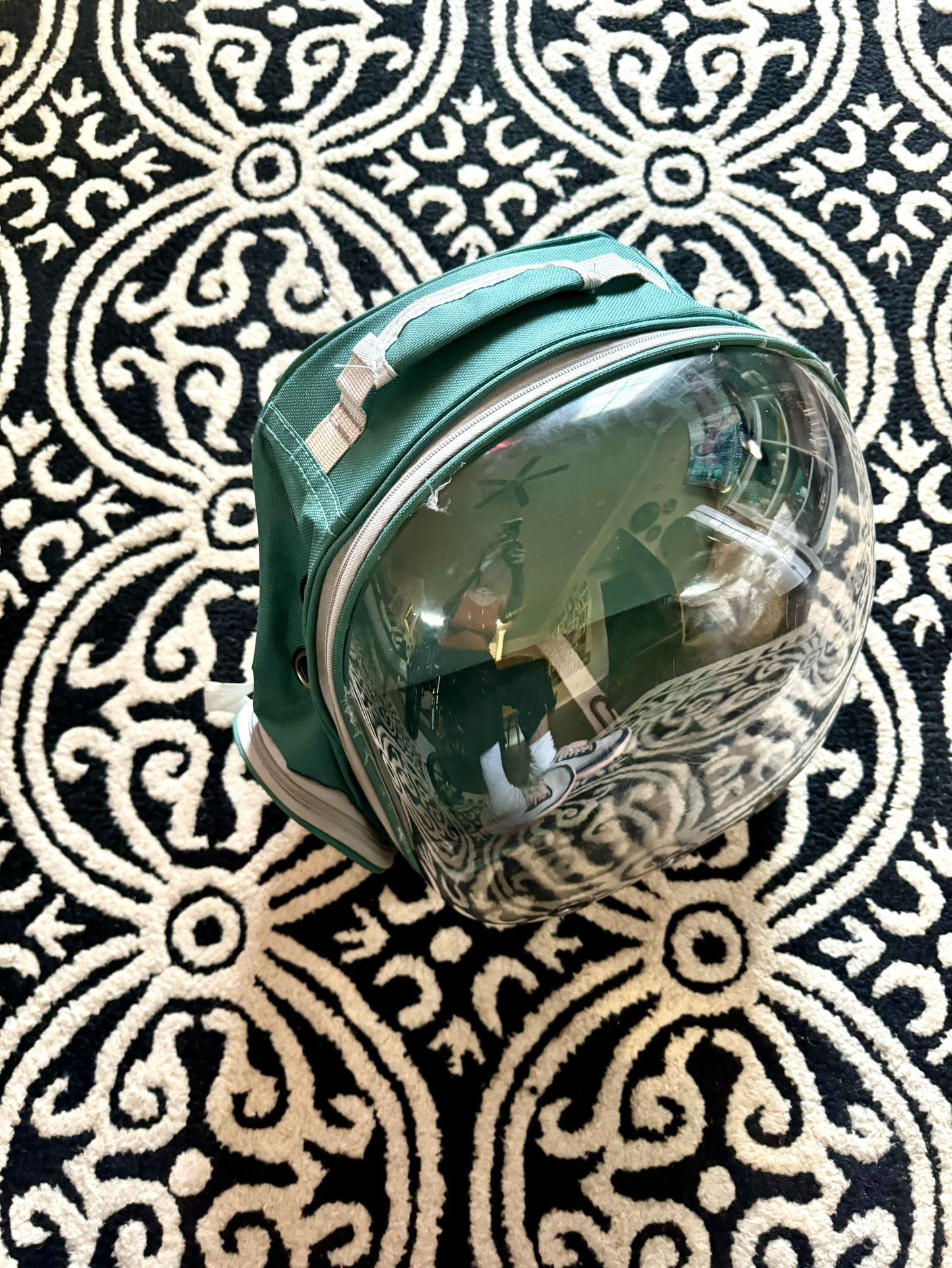 Portable Cat Carrier Green Backpack ClearCapsule