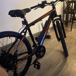 Electric Bike