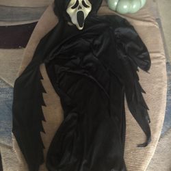 Halloween  Costume