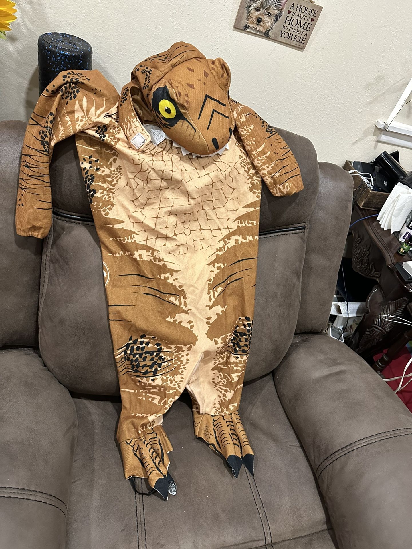 kids dinosaur costume