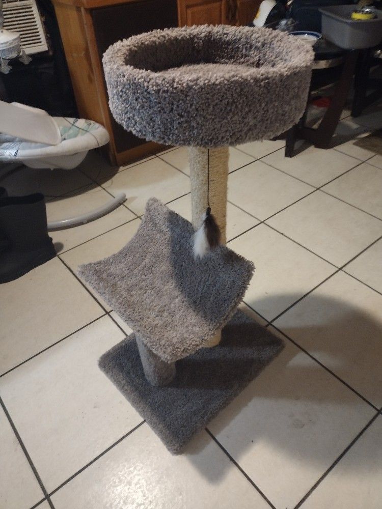 Cat Tower/Stand