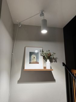 Plant Grow Light