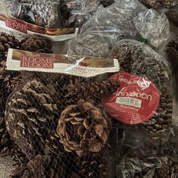 100 PLUS PINE CONES/ MOST NEW