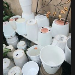 Houseplant Pots Ceramic