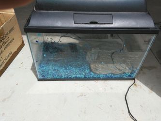 FISH TANK HAS EVERYTHING