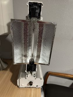 Gavita Pro 1000 Lights