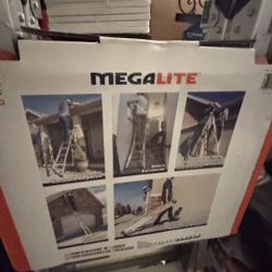 Little Giant Ladder System