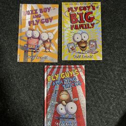 Fly Guy Book Lot