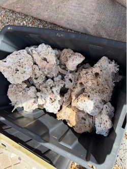 Reef rock and sand