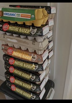 Empty Egg Cartons
