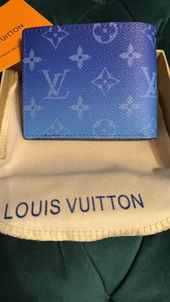 Blue Cloud Design Louis Vuitton wallet