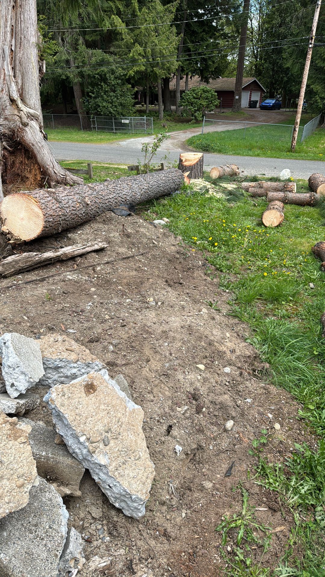 Firewood