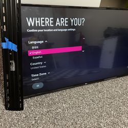 LG 49” TV