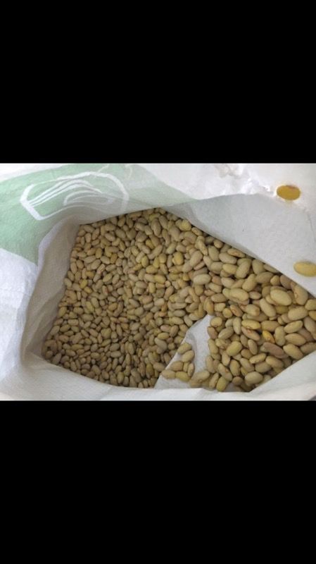 Frijol nuevo costal de 50 Lbs peruano
