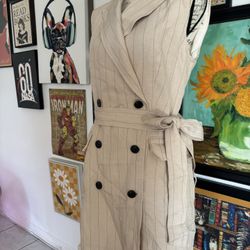 Pinstripe Trench Coat Style Dress