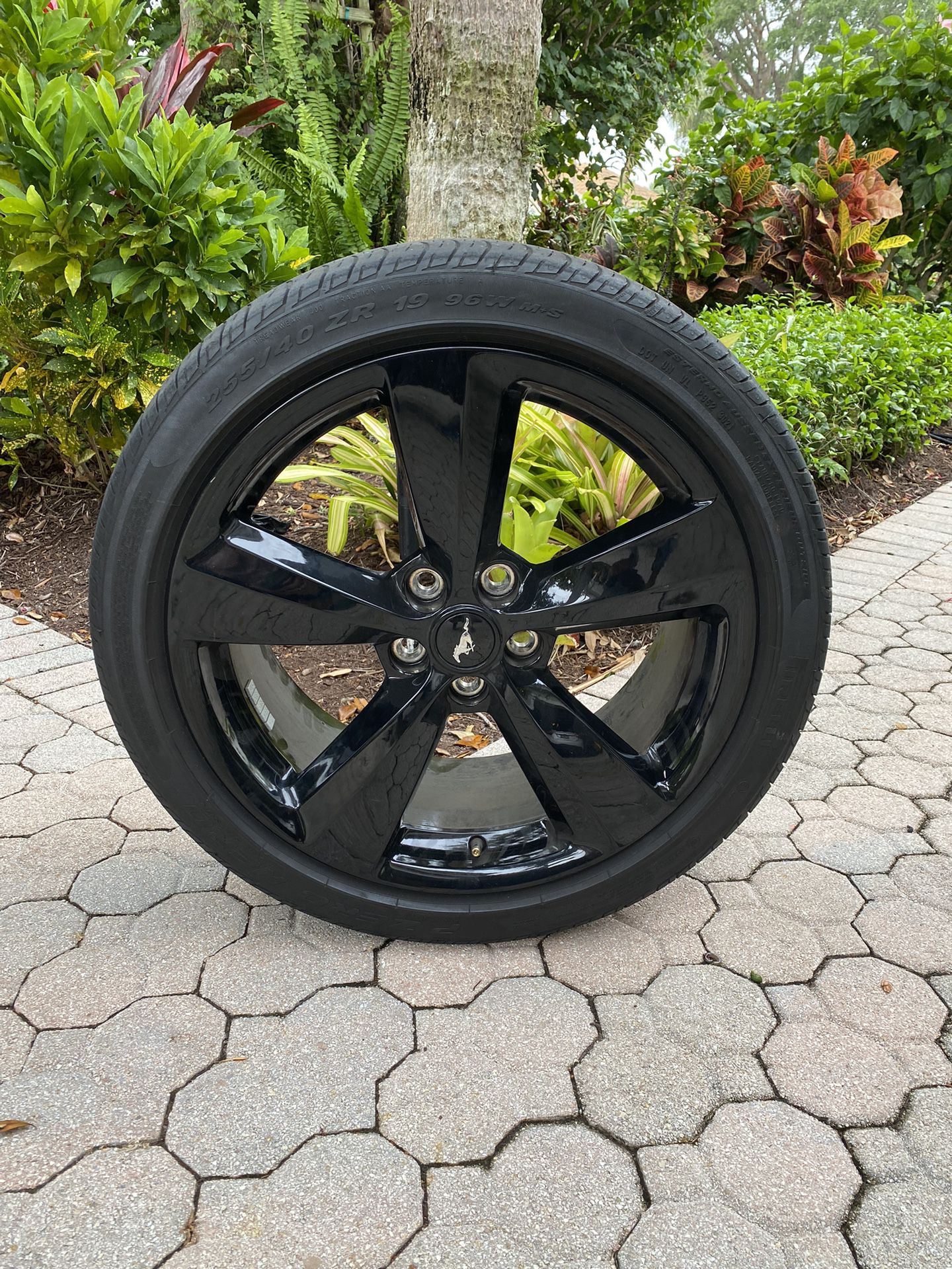 Black Ford Mustang Rims With Tires