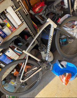 Specialized bike medium