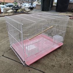 BIRD CAGE 