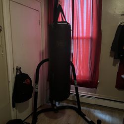 Everlast stand and 100lb punching bag 