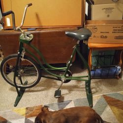 Schwinn Exerciser   OBO. 