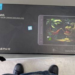 KAMVAS Pro 12 Art Tablet