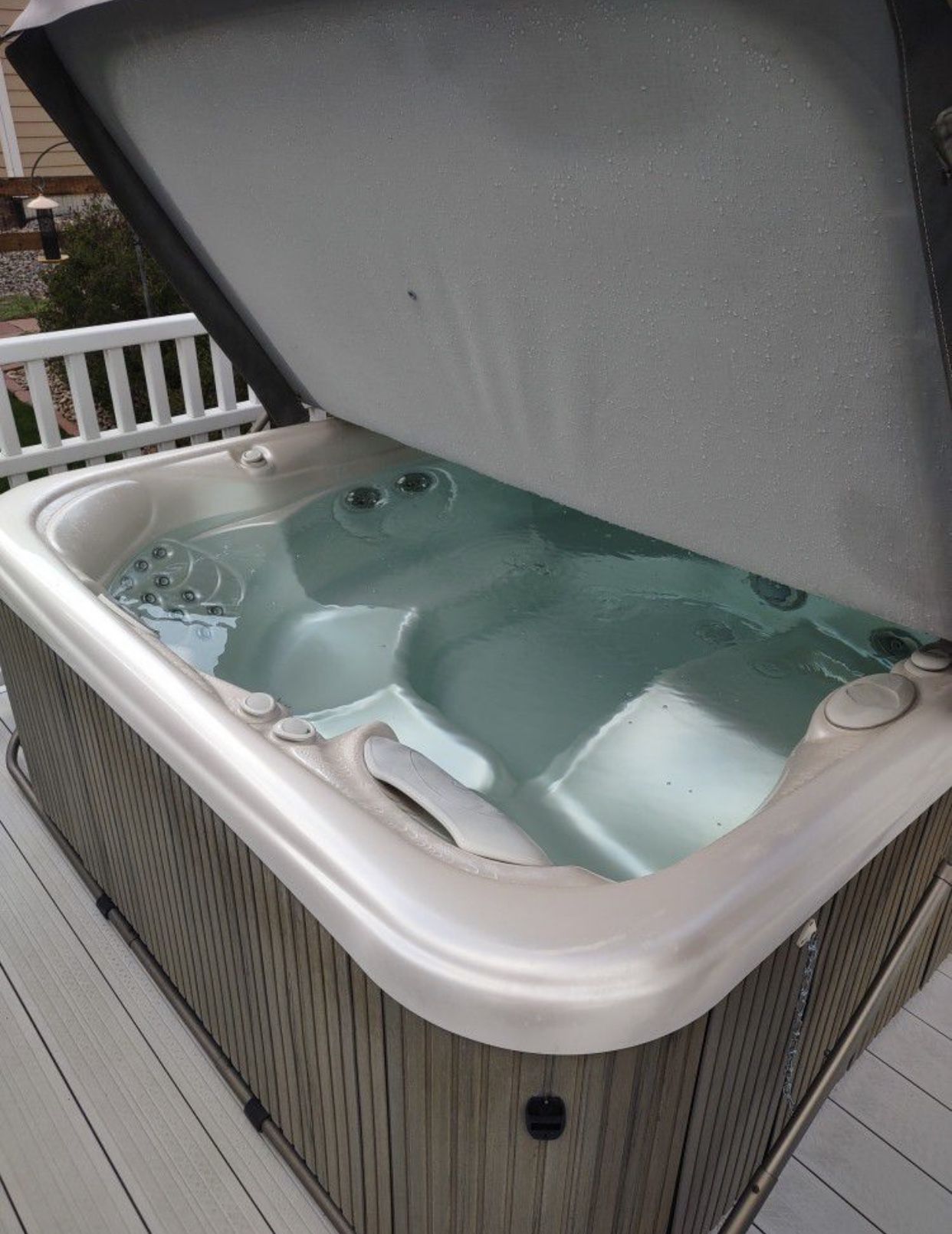 2009 Hot Springs Tub