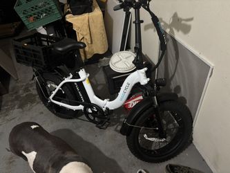 Jaguarundi 2.0 Torque Sensor Folding Fat Tire Ebike