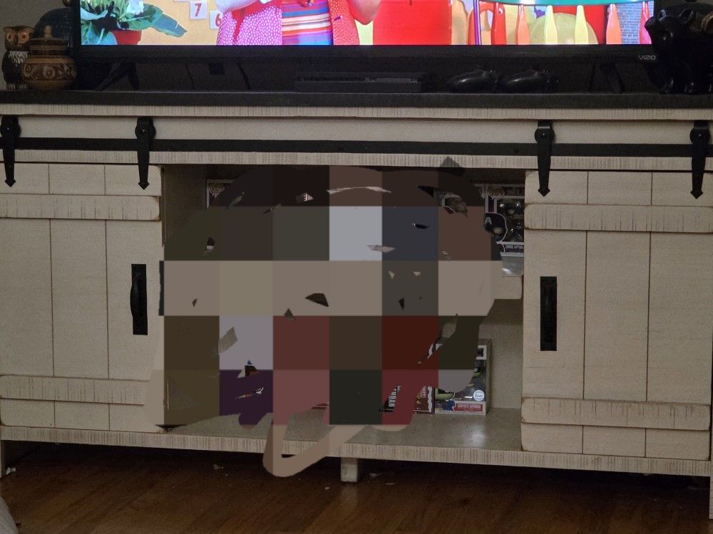 Farm House Type TV Stand With Barn Doors