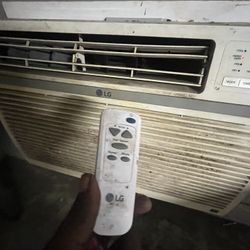 Ac Unit Lg Works Perfect 220 Unit 