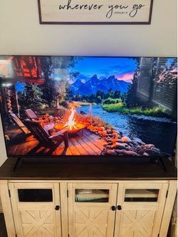 65in Vizio TV w/ Philips sound bar and Roku TV