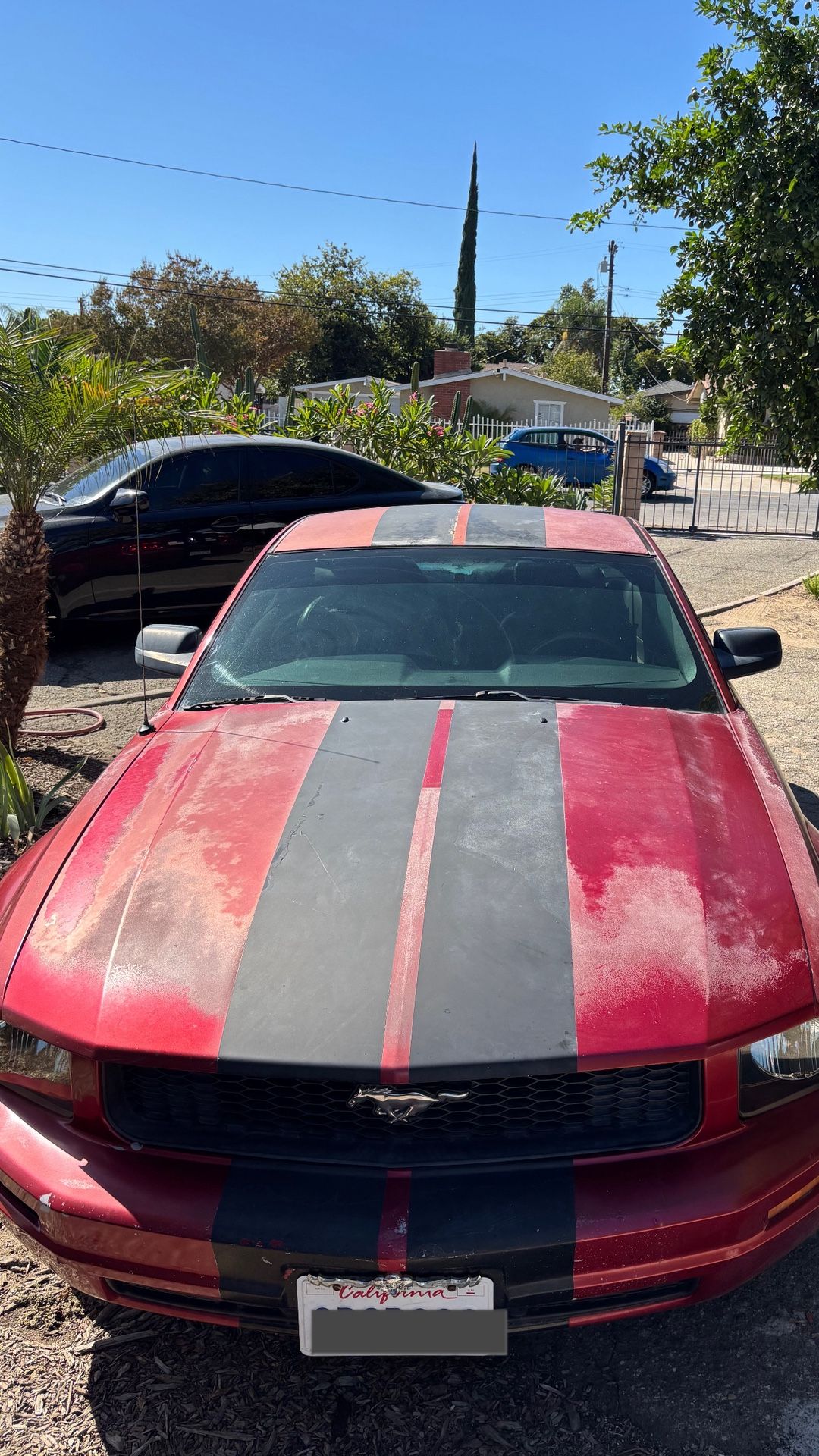 2005 Ford Mustang