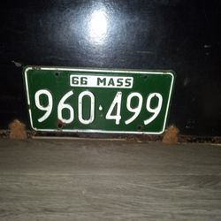 50 Yr Old Porcelain plate. 