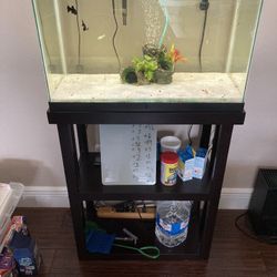 20 Gallon Fish Tank With Stand And  Light