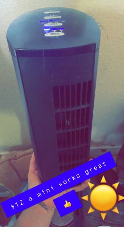 Lil Fan