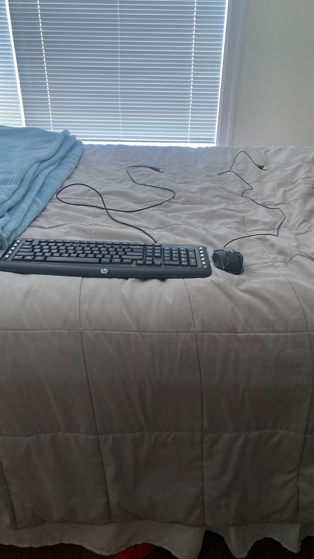 Keyboard and mouse