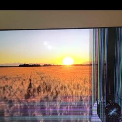 80" TELEVISION 