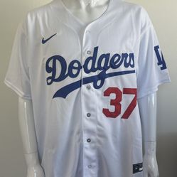 Teoscar Hernandez Dodgers Jersey