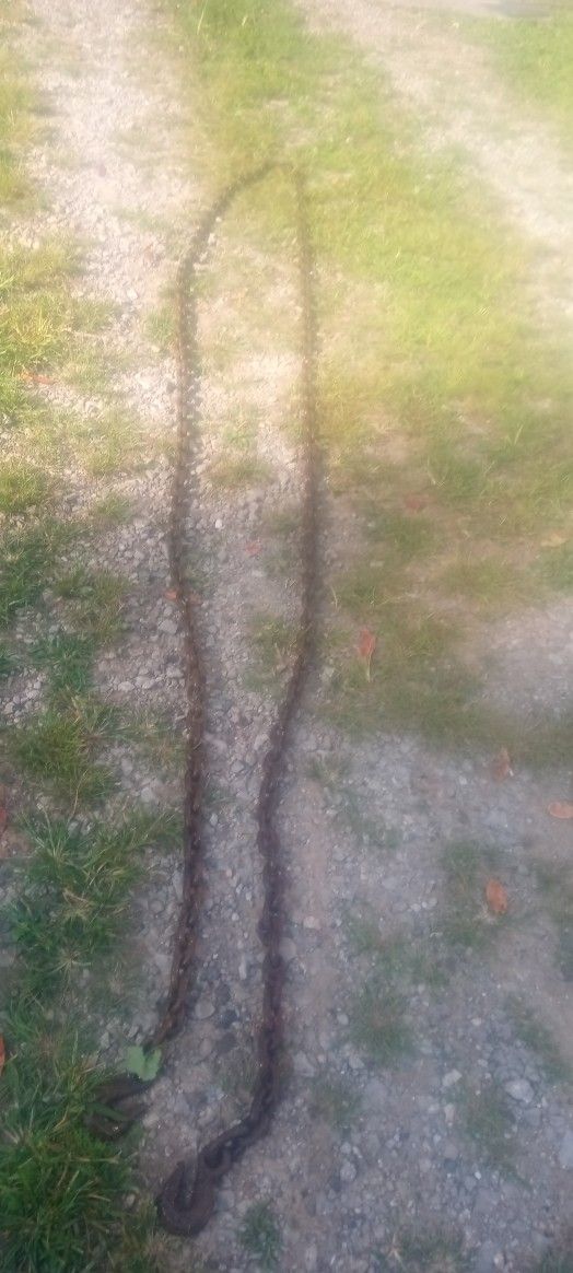 25 Foot Heavy Chain