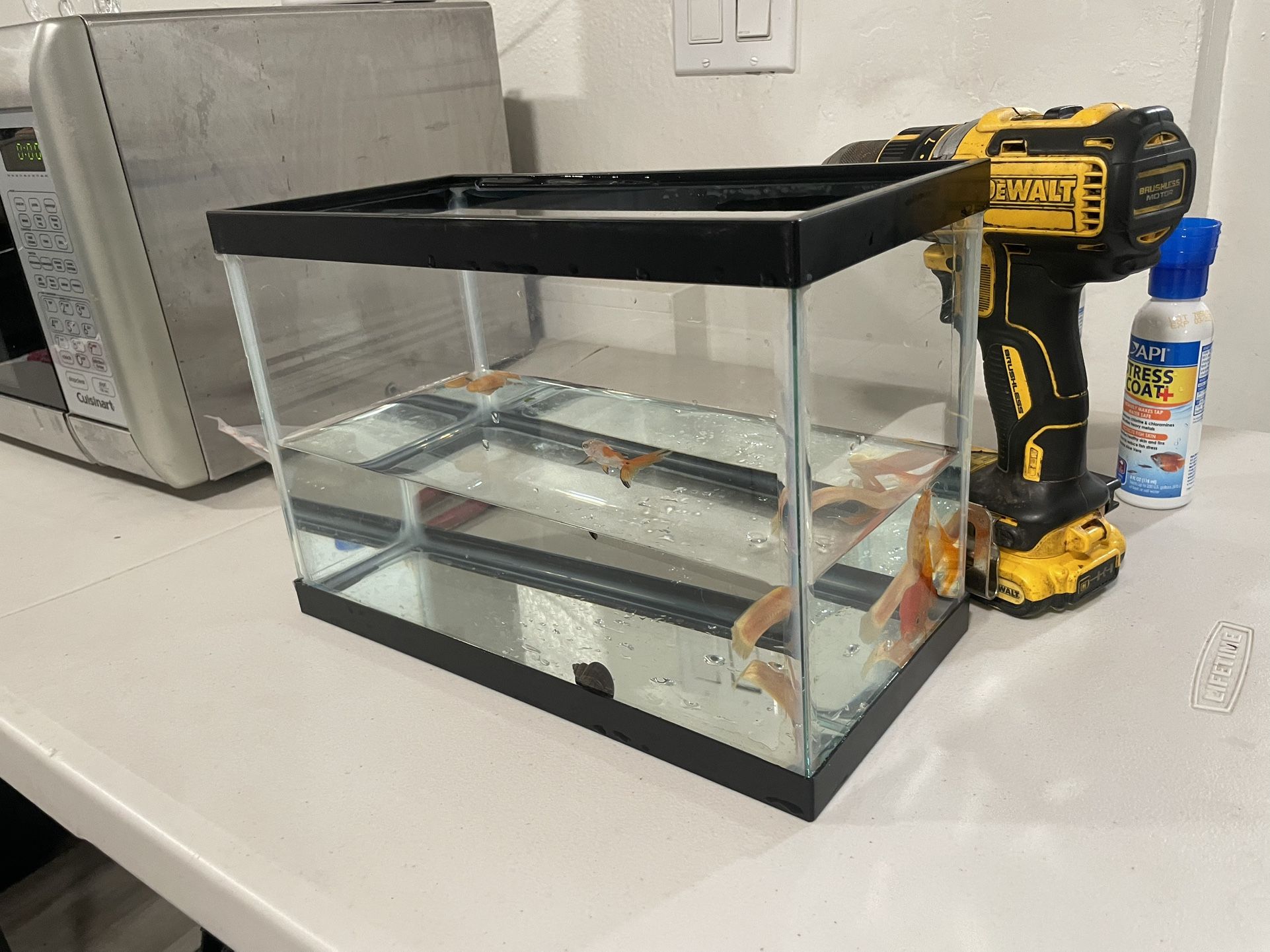 2.5 Gallon Tank