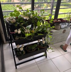 Indoor plant herb rack